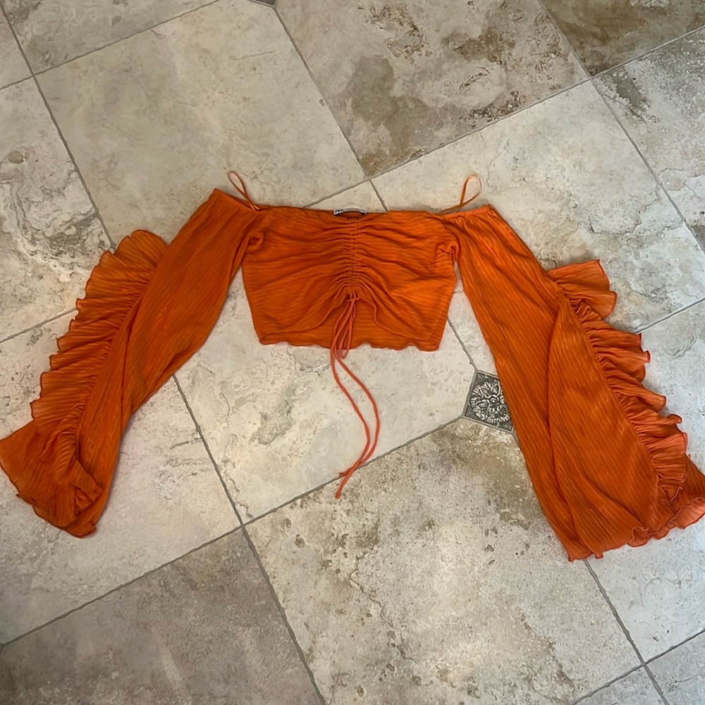 Zara Pleated Crop Top with Ruffles
